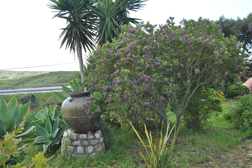 Vivenda Familia Pedro Hotel Vila do Bispo Guest house